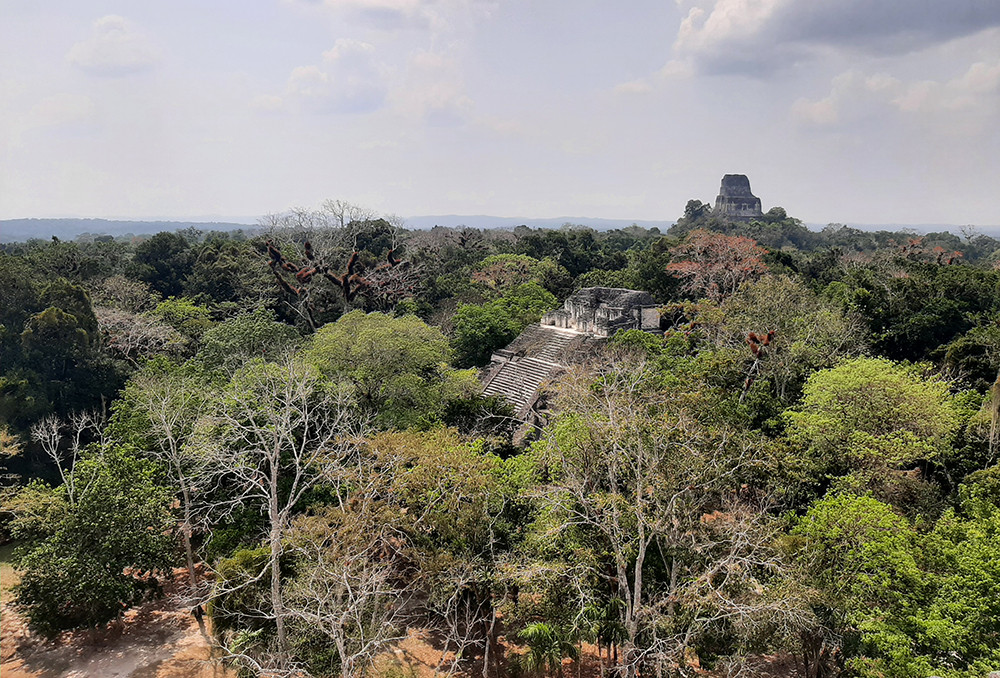 Individualreise Guatemala & Belize - Lateinamerika