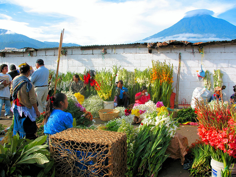 Gruppenreise durch Guatemala & Honduras - Lebendige Kultur - Lateinamerika