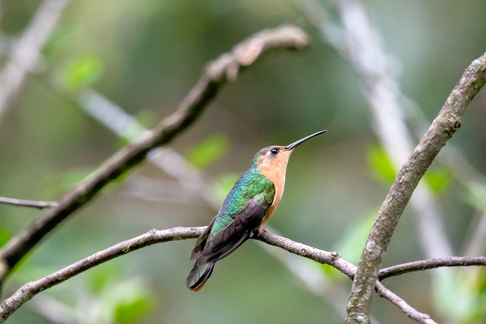 Individualreise Guatemala & Belize - Lateinamerika