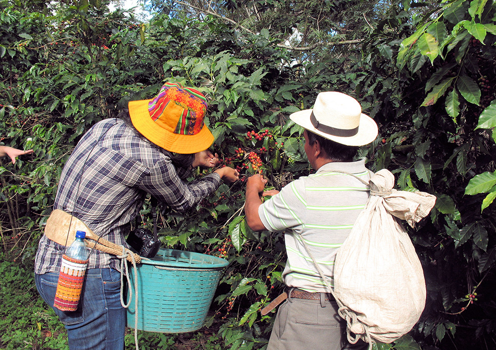 Individualreise Guatemala, Honduras &, Nicaragua - Lateinamerika