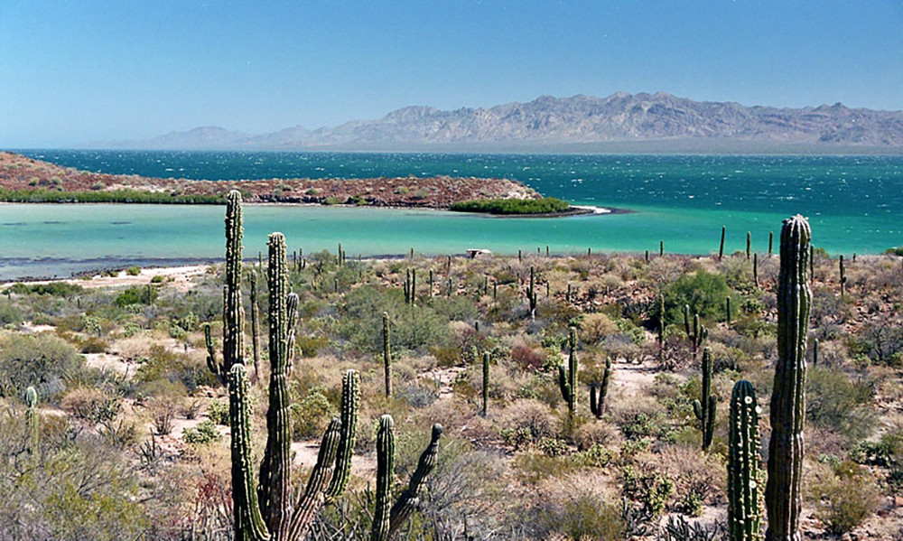 Gruppenreise Baja California Sur - Lateinamerika