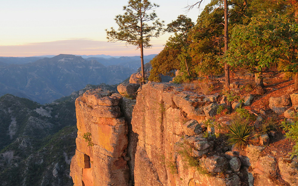 Gruppenreise Kupferschlucht Mexiko - Lateinamerika
