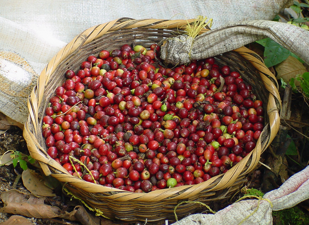 Mietwagenreise Höhepunkte Nicaragua - Lateinamerika