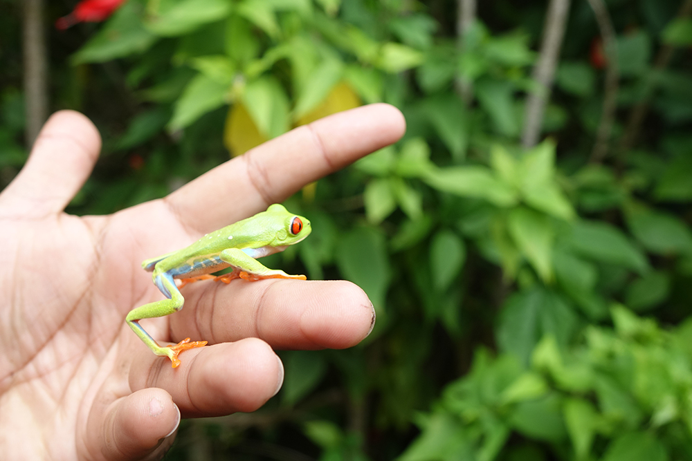 Mietwagenreise Höhepunkte Nicaragua - Lateinamerika