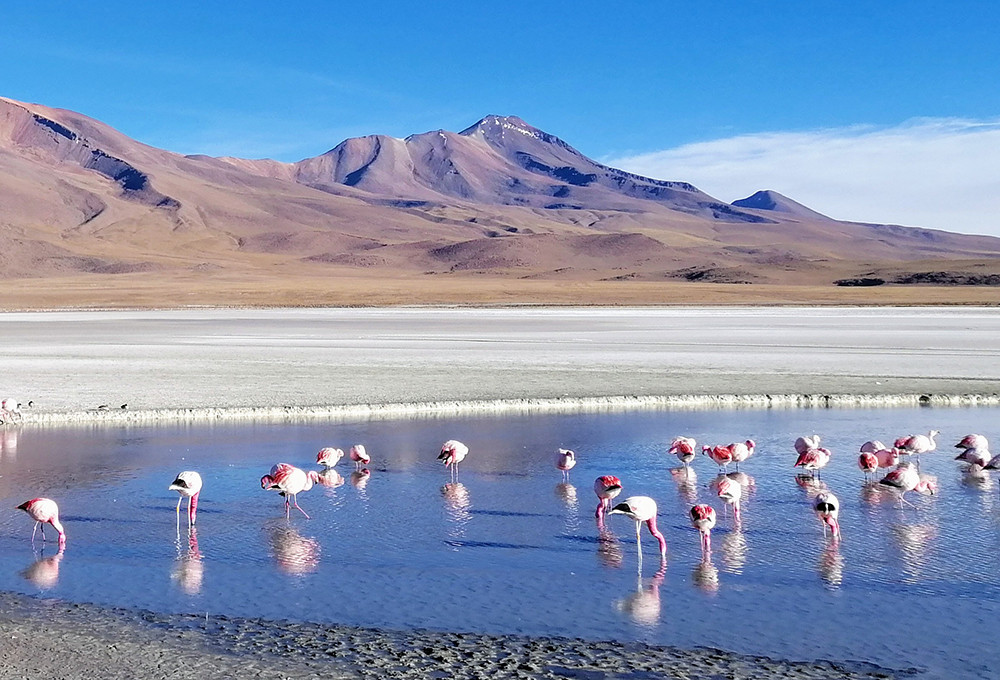 Baustein Salzsee von Uyuni - Lateinamerika