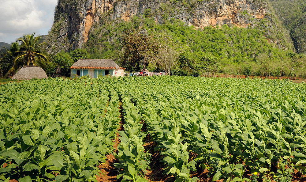 Gruppenreise Kuba aktiv - Lateinamerika