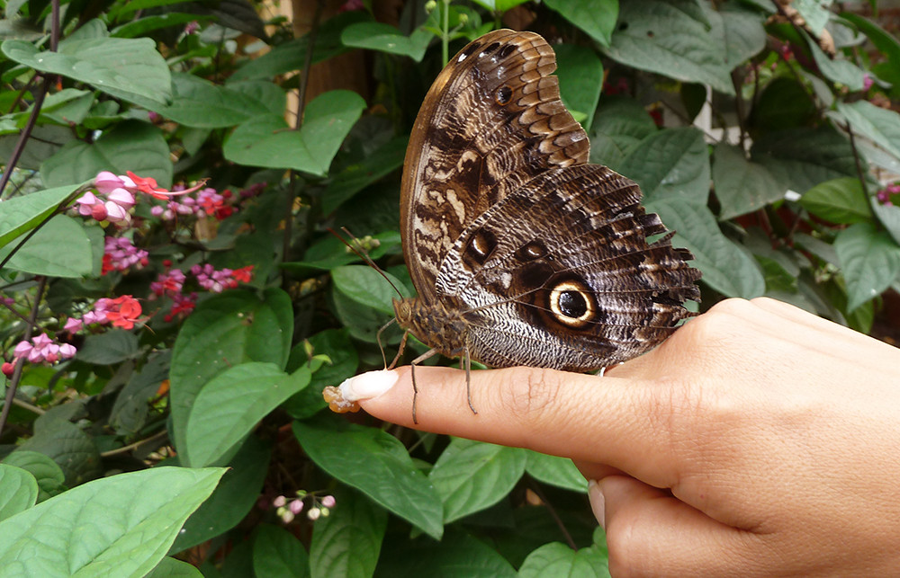 Spezialtermin - Gruppenreise mit dem eBike & Amazonas - Lateinamerika