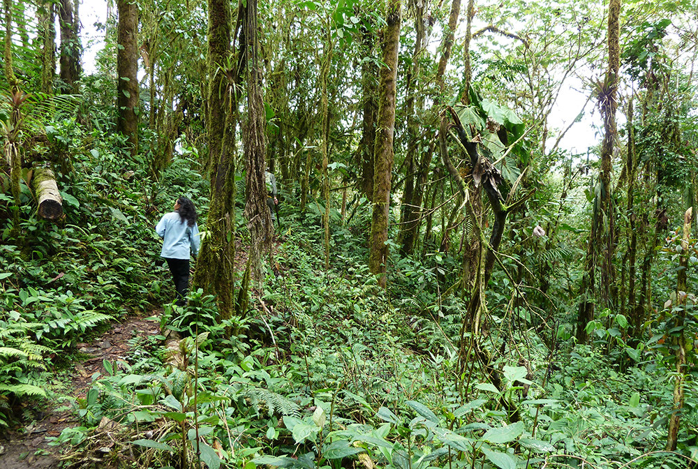 Spezialtermin - Gruppenreise mit dem eBike & Amazonas - Lateinamerika
