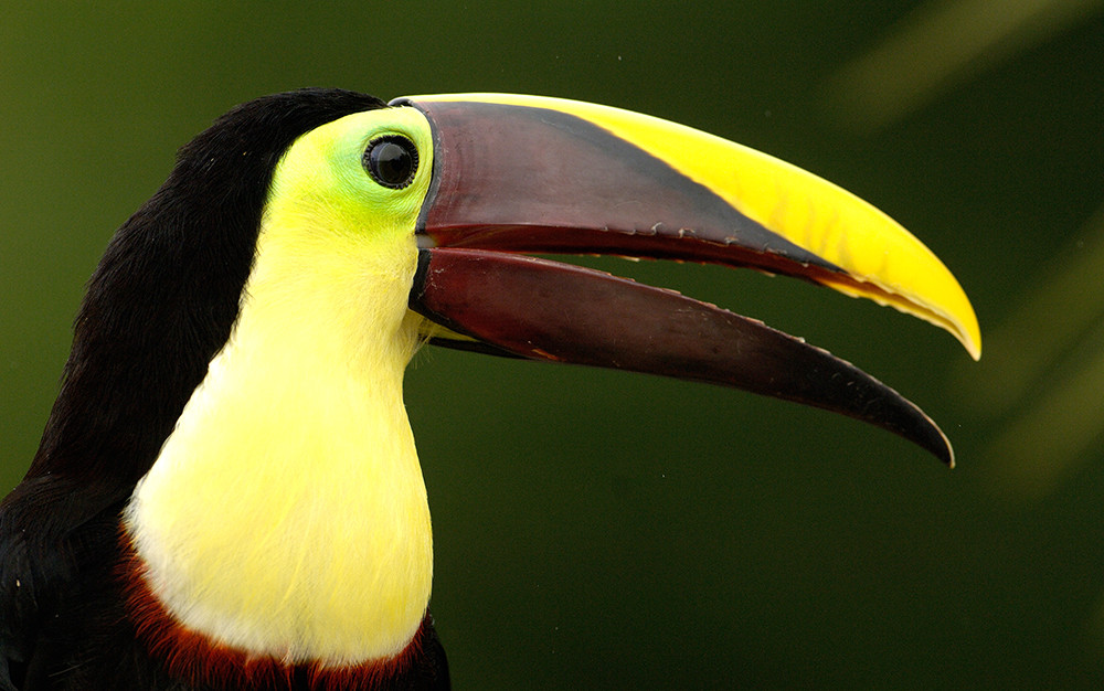 Spezialtermin - Gruppenreise mit dem eBike & Amazonas - Lateinamerika