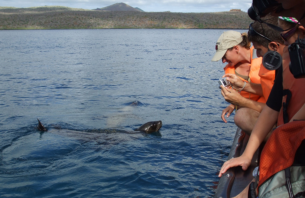 Galápagos Kreuzfahrt auf dem Katamaran Seaman Journey - Lateinamerika