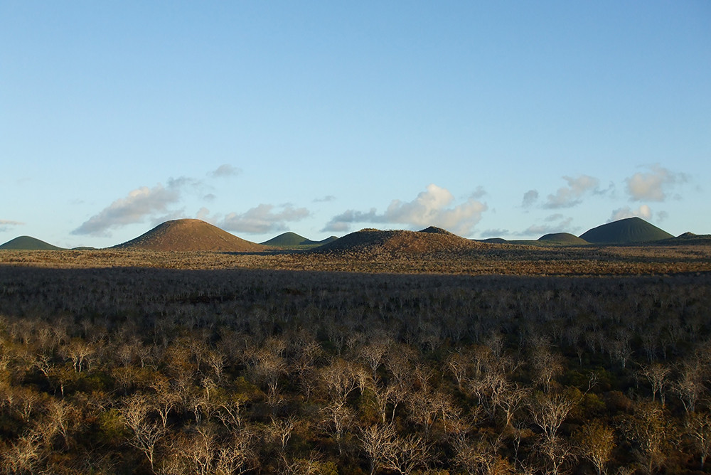 Galápagos Kreuzfahrt auf dem Katamaran Anahi - Lateinamerika