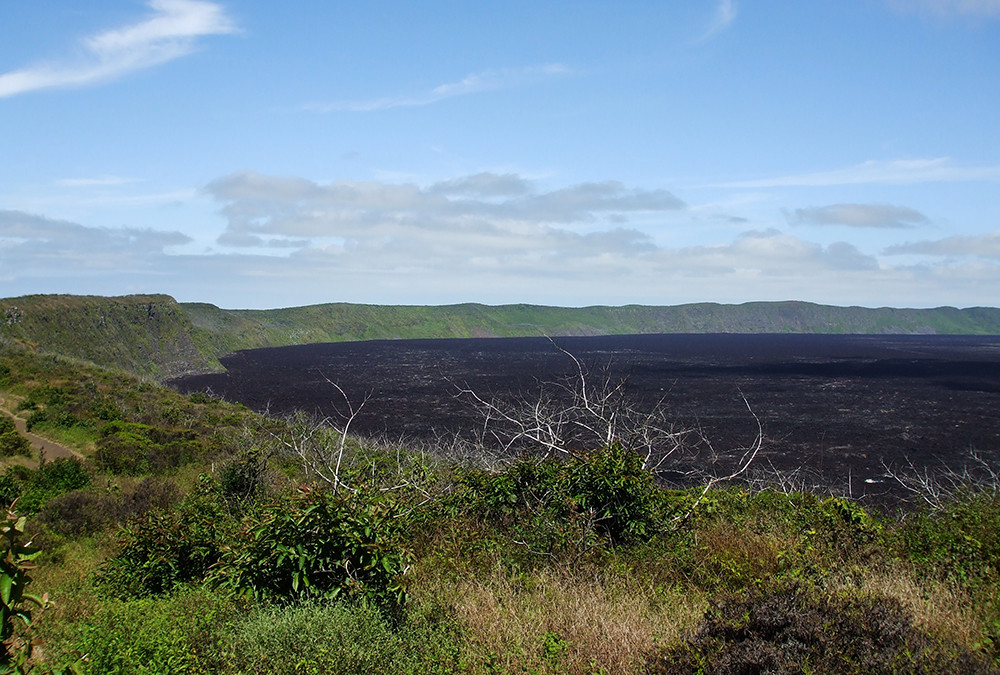 Galápagos Kreuzfahrt auf dem Katamaran Treasure - Lateinamerika