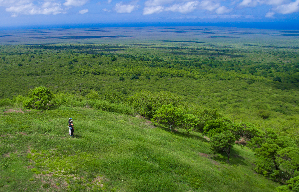 Galápagos Kreuzfahrt auf dem Katamaran Endemic - Lateinamerika