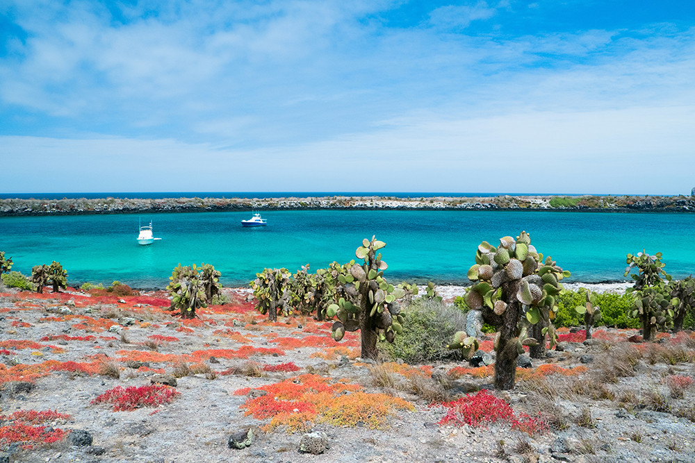 Galápagos Kreuzfahrt auf dem Katamaran Seaman Journey - Lateinamerika