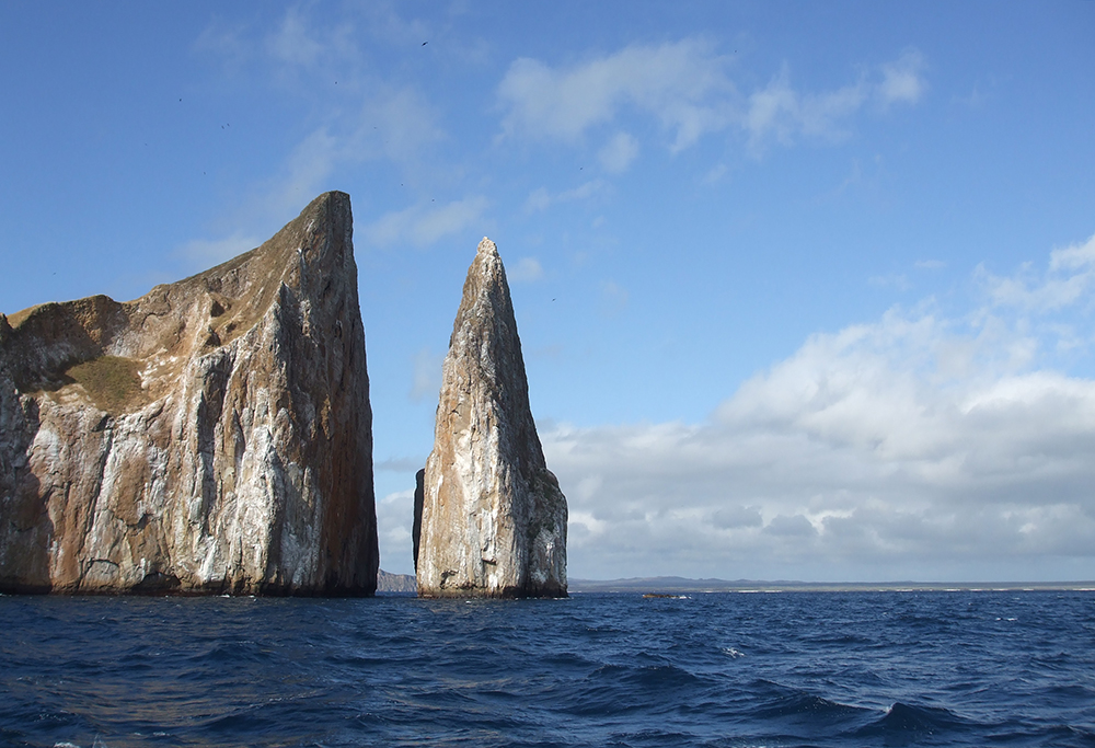 Galápagos Kreuzfahrt auf dem Katamaran Anahi - Lateinamerika