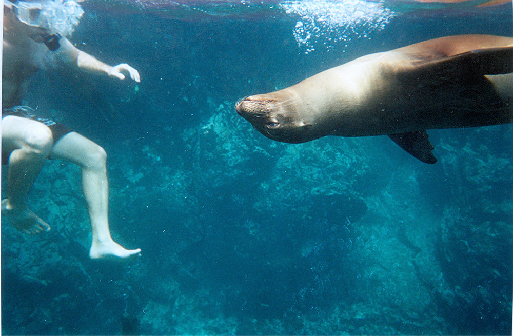 Galápagos Kreuzfahrt auf dem Motorschiff Legend - Lateinamerika