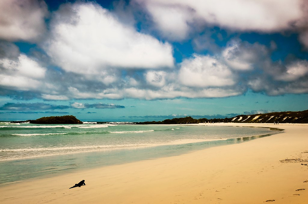 Individualreise Ecuador & Galápagos - Lateinamerika