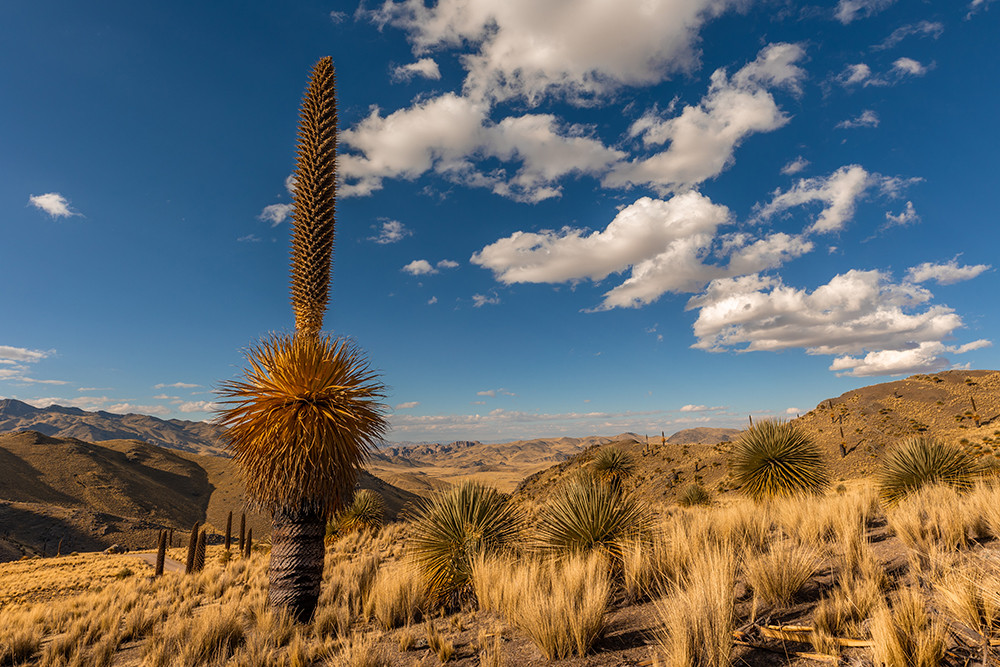 Gruppenreise Höhepunkte im Süden Perus - Lateinamerika