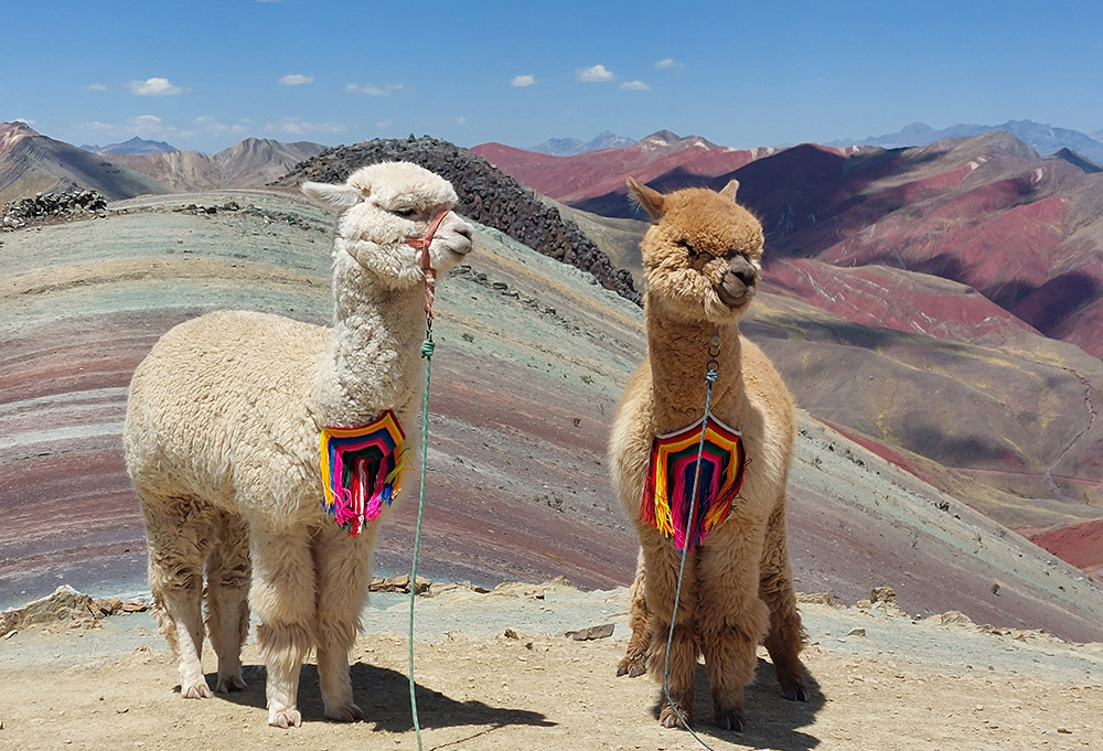 Gruppenreise Peru - Kultur & Genuss - Lateinamerika