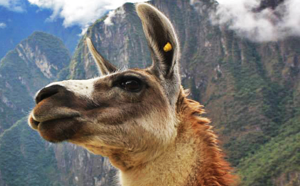 Gruppenreise Insight Peru - Lateinamerika