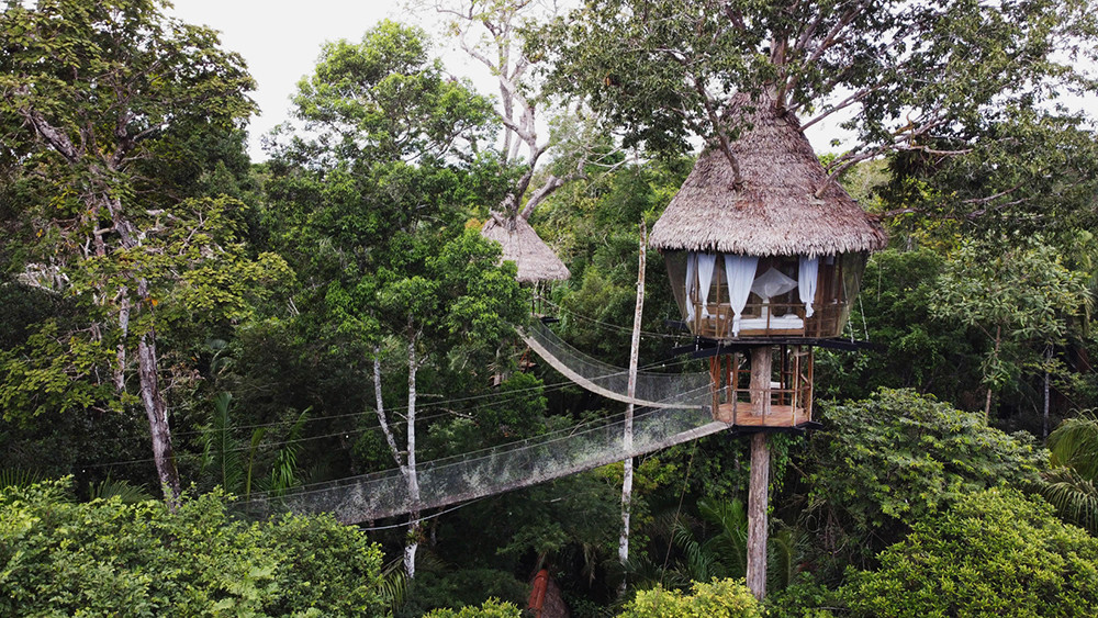 Dschungelerlebnis im Baumhaus - Lateinamerika