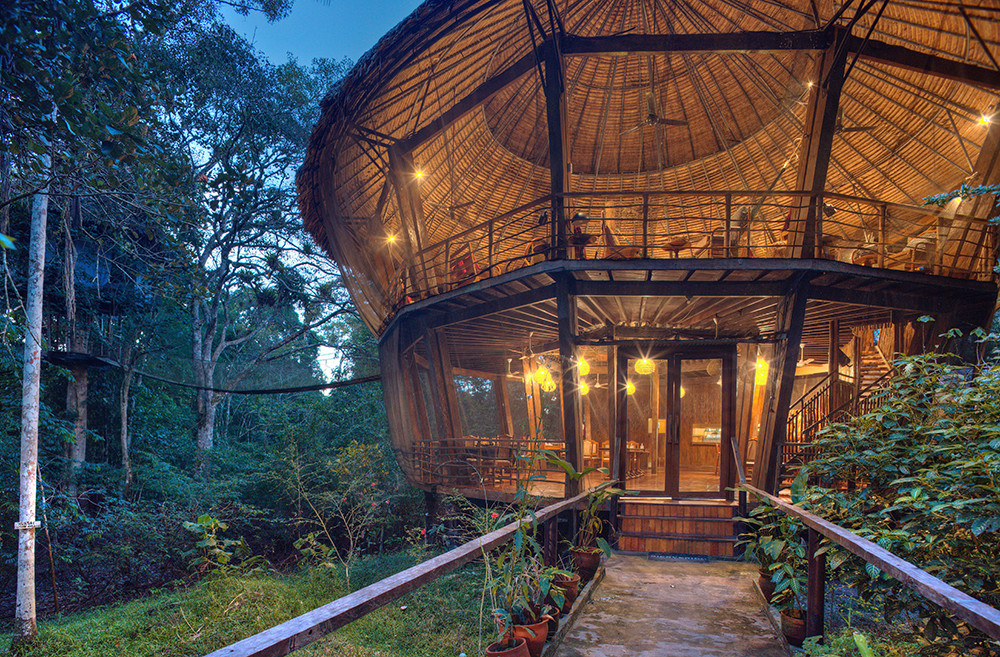 Dschungelerlebnis im Baumhaus - Lateinamerika