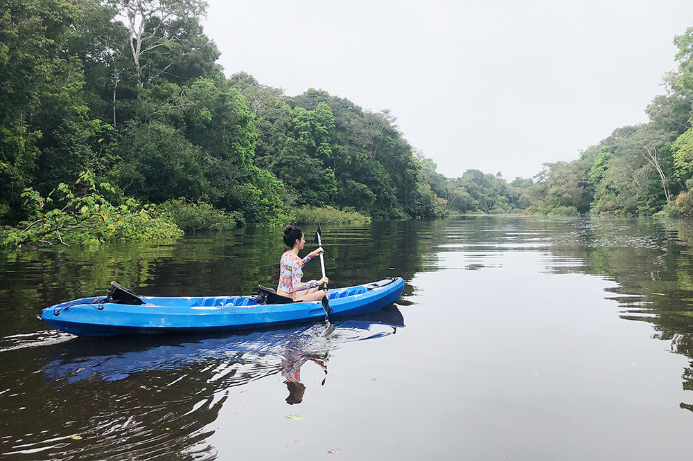 Dschungelerlebnis im Baumhaus - Lateinamerika
