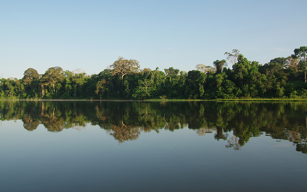 Amazonas entdecken bei Tambopata Peru - Lateinamerika