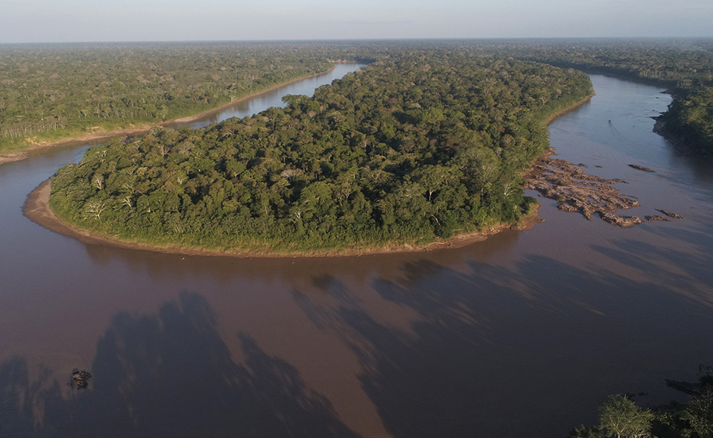 Amazonas entdecken bei Tambopata Peru - Lateinamerika