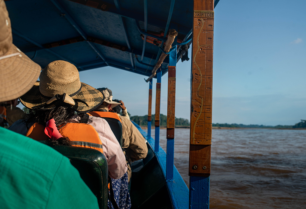 Amazonas entdecken bei Tambopata Peru - Lateinamerika
