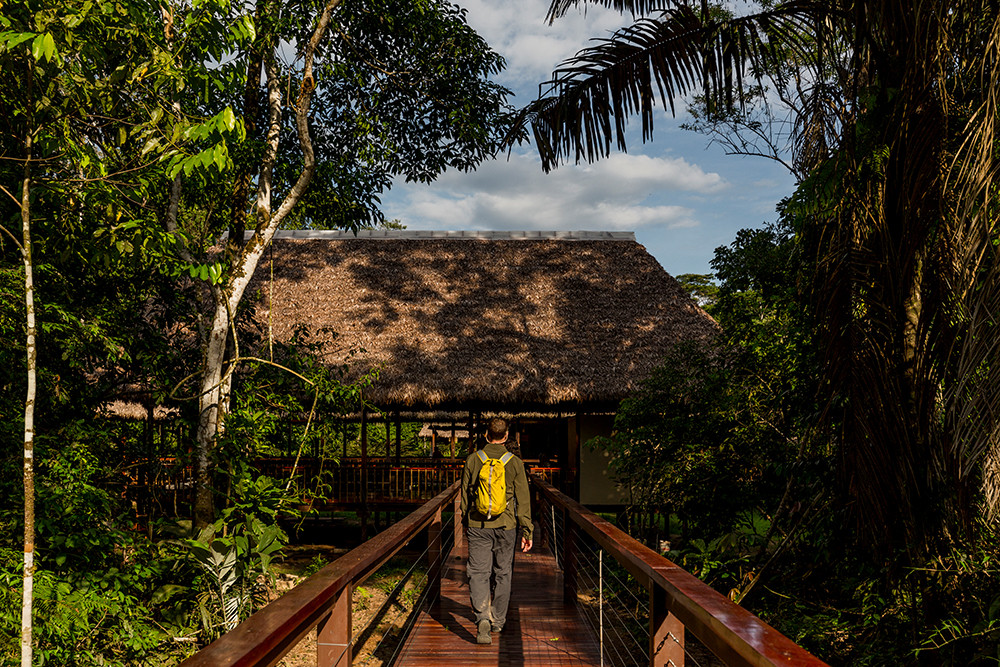 Amazonas entdecken bei Tambopata Peru - Lateinamerika