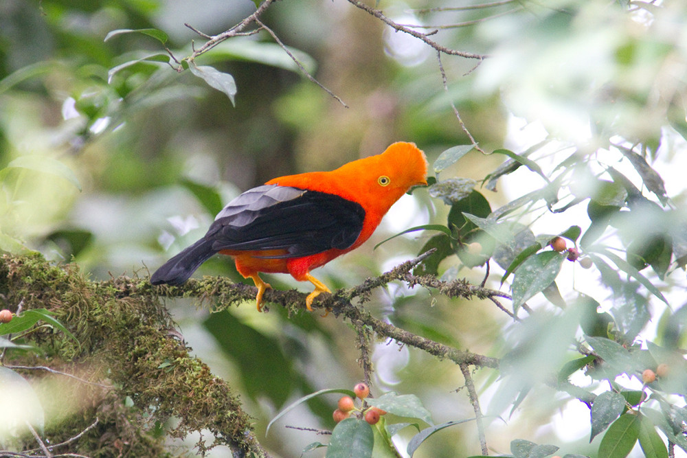 Mietwagenreise durch Perus unbekannten Norden - Lateinamerika