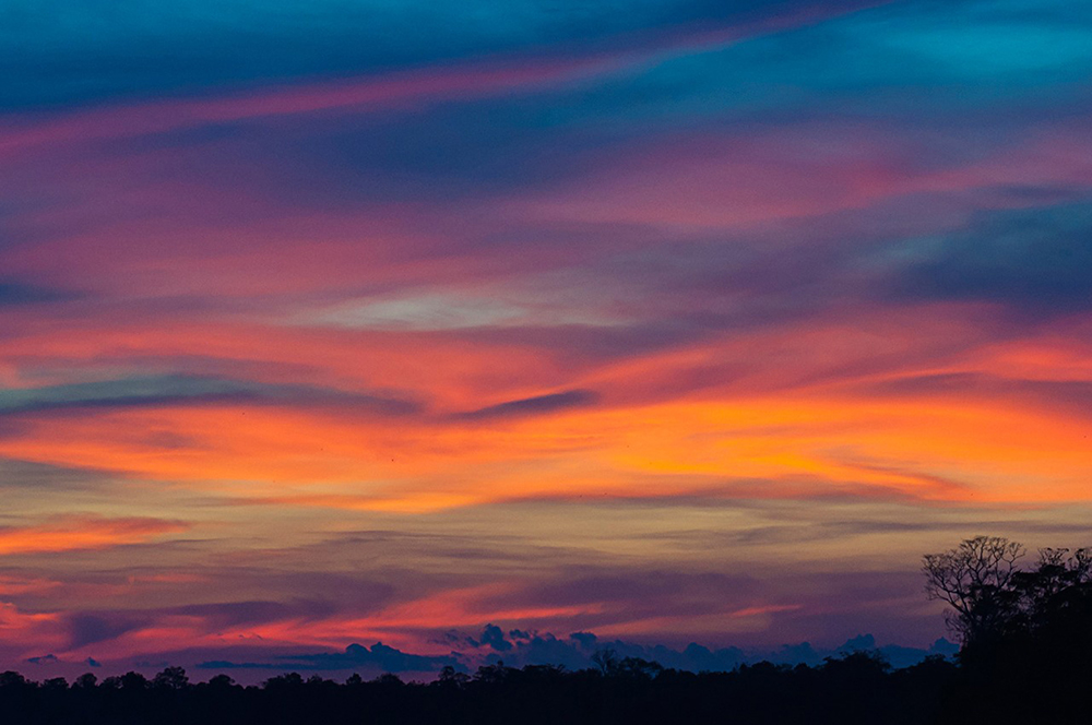Amazonas Luxus Kreuzfahrt - Lateinamerika