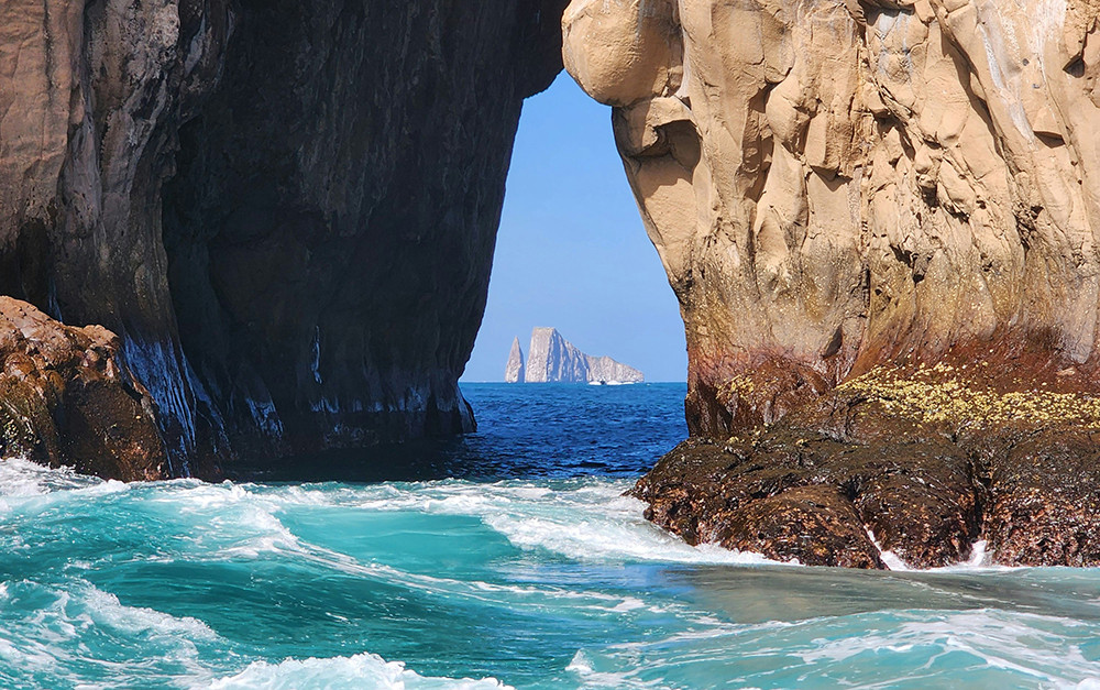 Galápagos Kreuzfahrt auf dem Luxus Katamaran Hermes - Lateinamerika