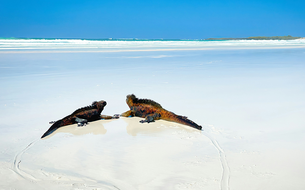 Mietwagenreise Peru & Tierparadies Galápagos - Lateinamerika