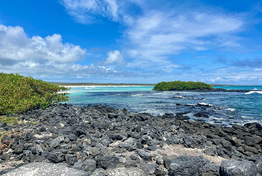 Galápagos Kreuzfahrt auf dem Motorschiff Legend - Lateinamerika