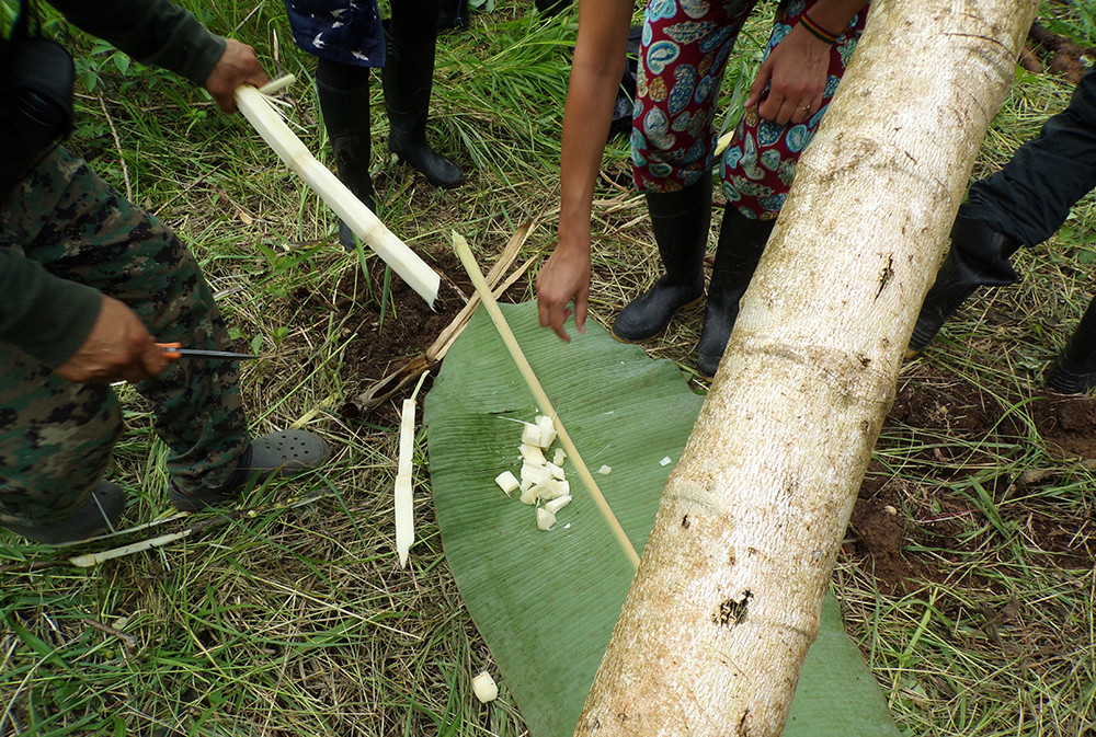 Ecuador: Ein Abenteuer auf der Bucket List - Lateinamerika