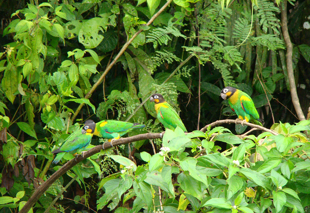 Ecuador: Ein Abenteuer auf der Bucket List - Lateinamerika
