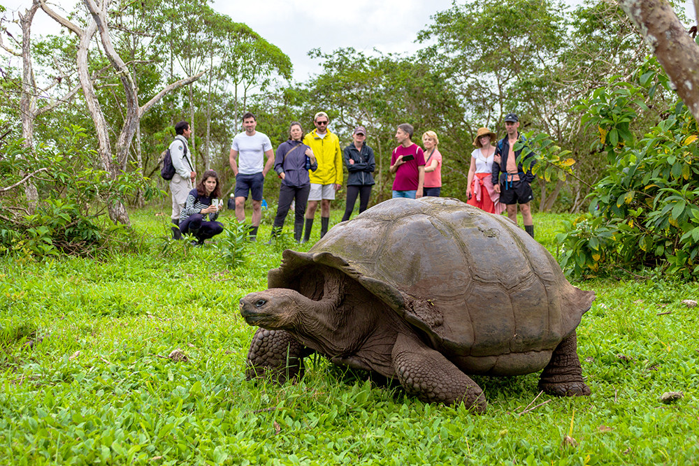 Galápagos Kreuzfahrt auf der Motoryacht Monserrat - Lateinamerika