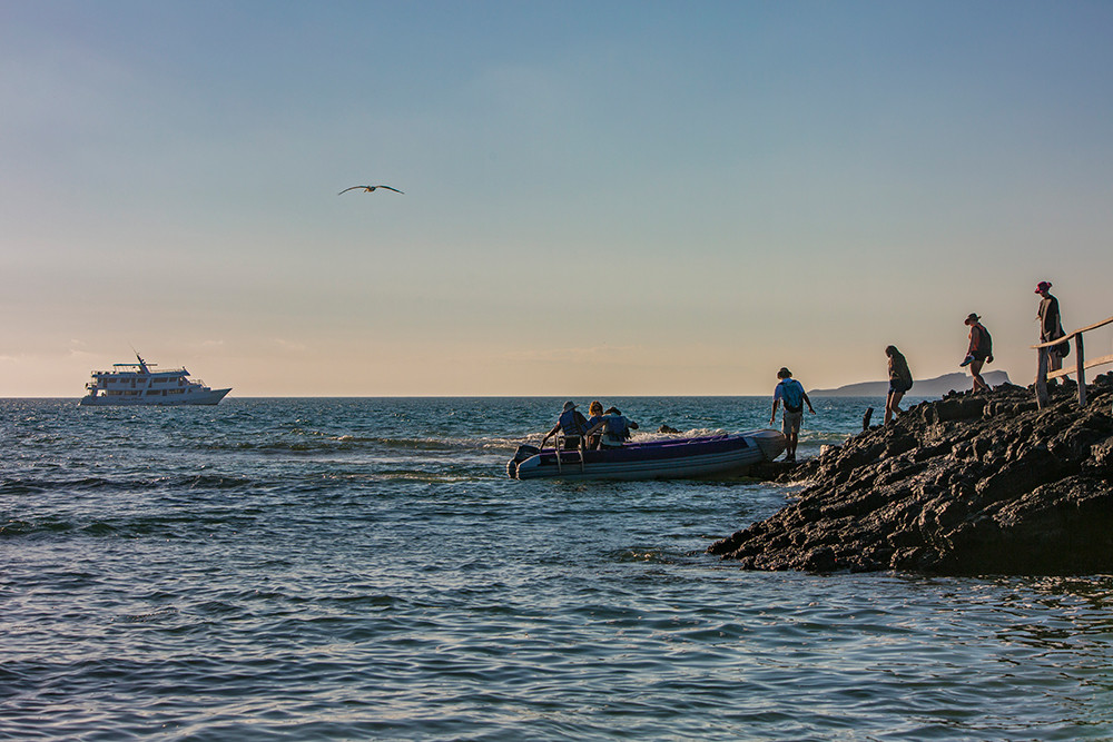 Galápagos Kreuzfahrt auf der Motoryacht Monserrat - Lateinamerika