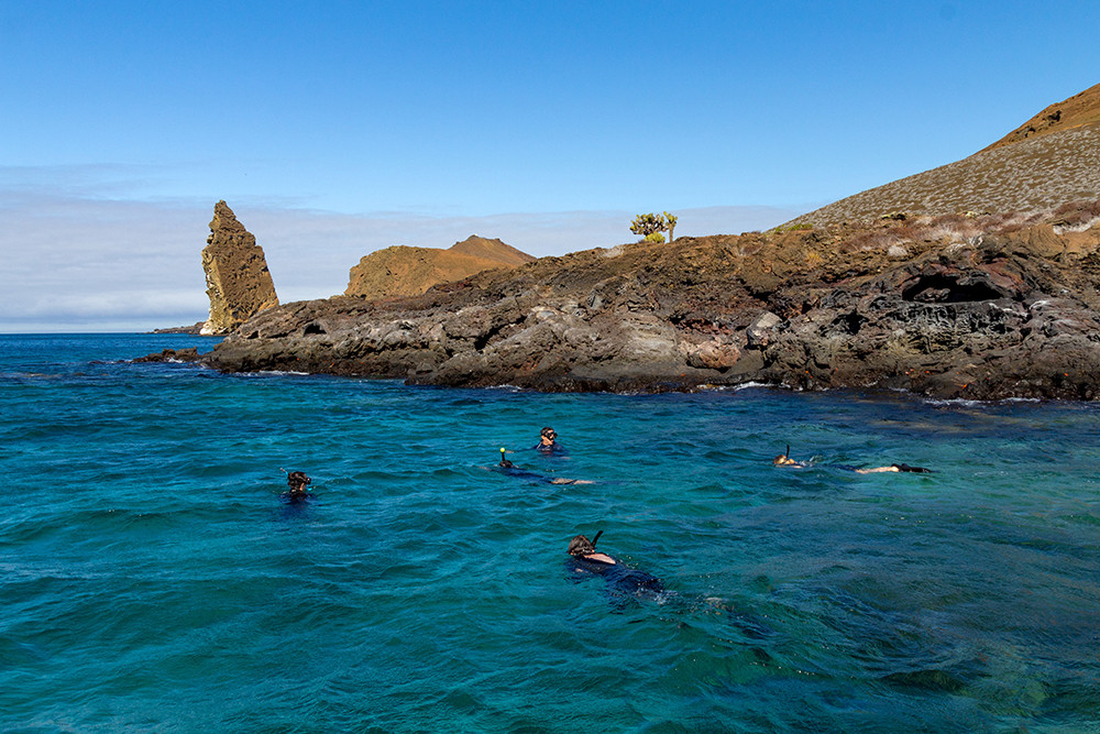 Galápagos Kreuzfahrt auf der Motoryacht Monserrat - Lateinamerika
