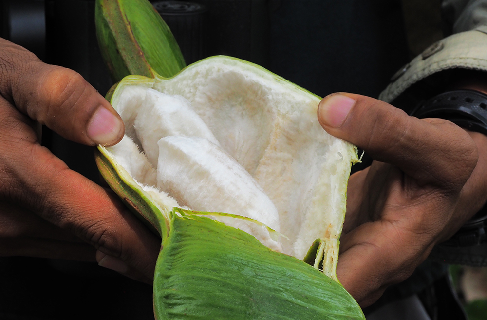 Ecuador: Ein Abenteuer auf der Bucket List - Lateinamerika