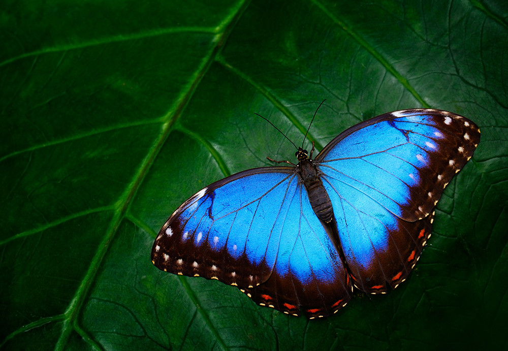 Ecuador: Ein Abenteuer auf der Bucket List - Lateinamerika