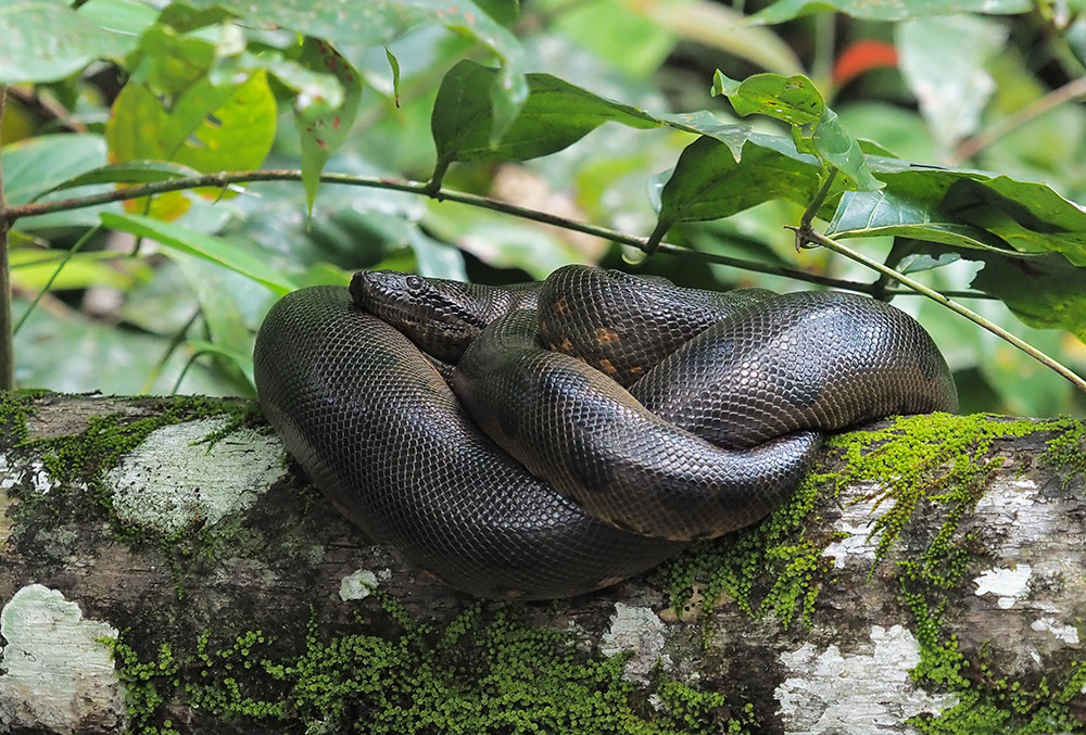 Ecuador: Ein Abenteuer auf der Bucket List - Lateinamerika