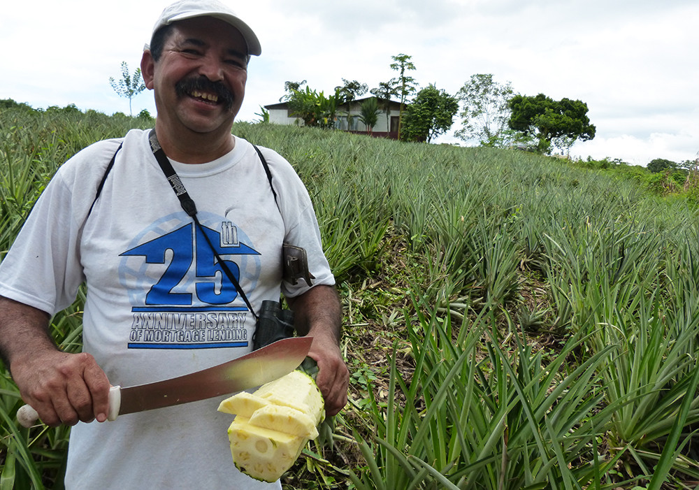 Gruppenreise Höhepunkte Costa Rica - Lateinamerika