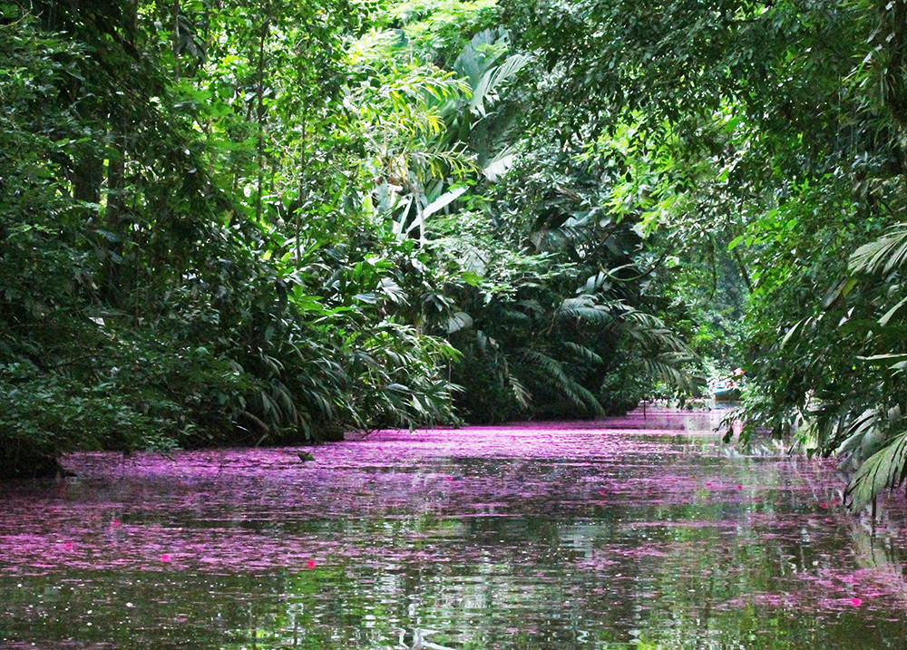 Gruppenreise Höhepunkte Costa Rica - Lateinamerika