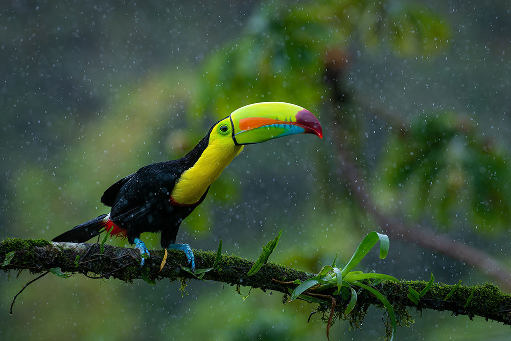 Gruppenreise mit dem eBike durch Costa Rica - Lateinamerika