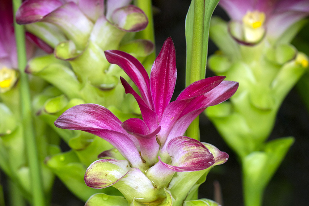 Gruppenreise mit dem eBike durch Costa Rica - Lateinamerika