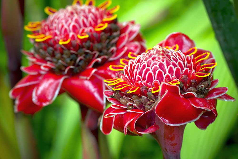 Gruppenreise mit dem eBike durch Costa Rica - Lateinamerika