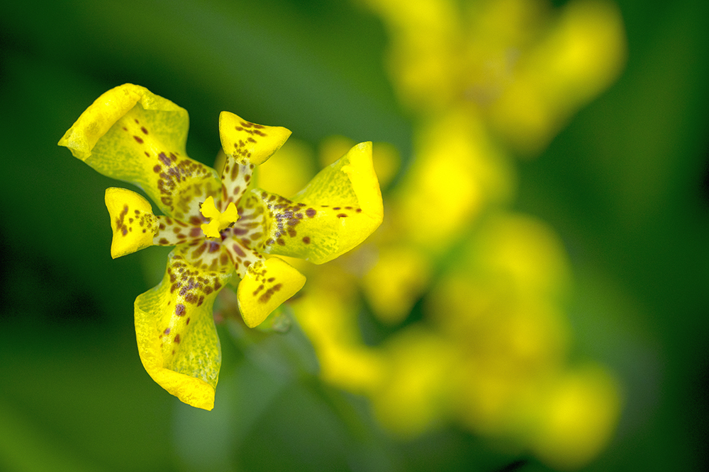Gruppenreise mit dem eBike durch Costa Rica - Lateinamerika